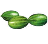 Pointed Gourd
